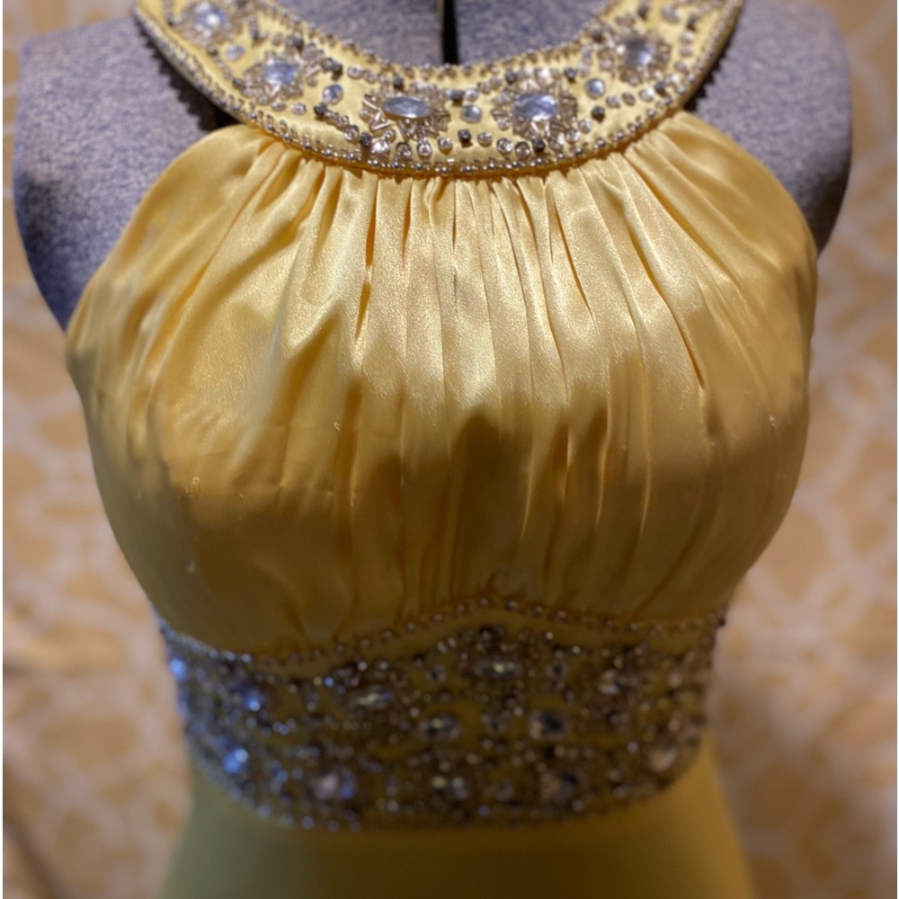 Beautiful gown.  Mint condition.  Worn to take pictures.